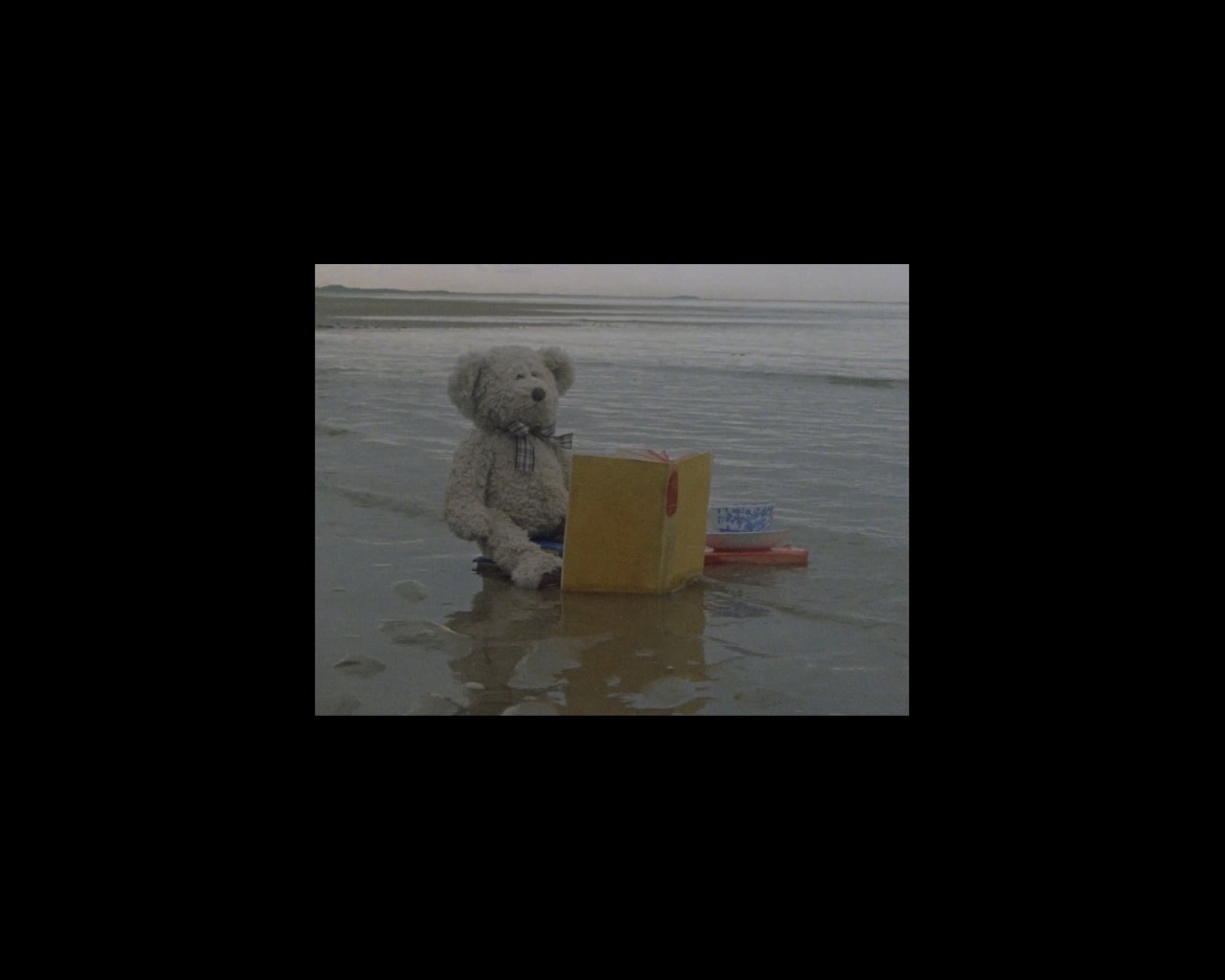 Film still of teddy bear reading book on shoreline