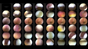 Image from Veronique Chance's 'In the Absence of Running'