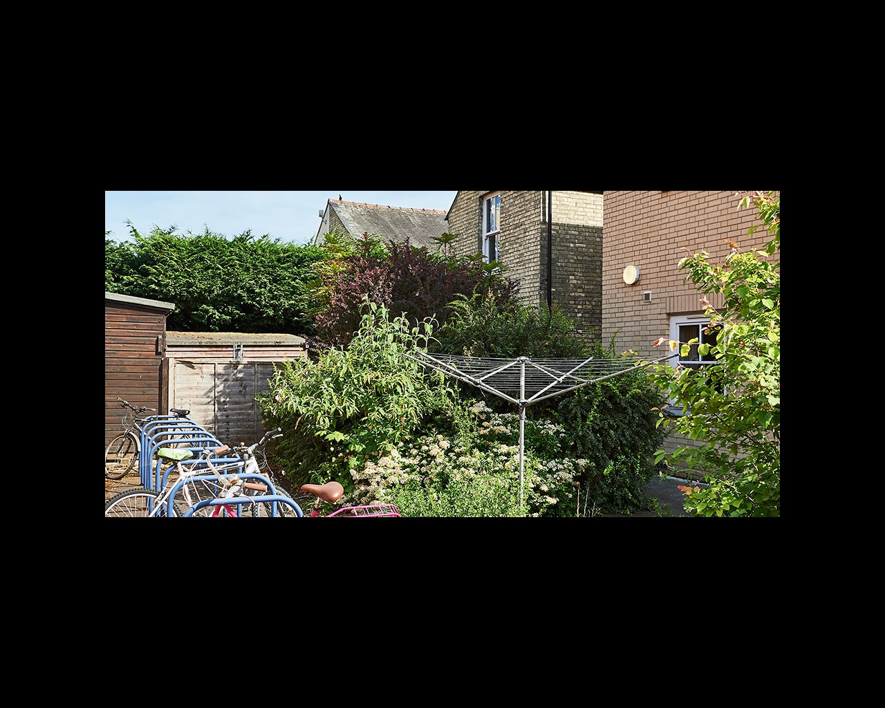 Back garden with bicycle rack