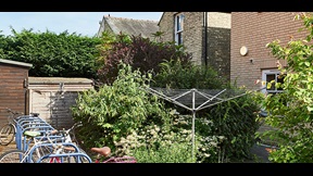 Back garden with bicycle rack